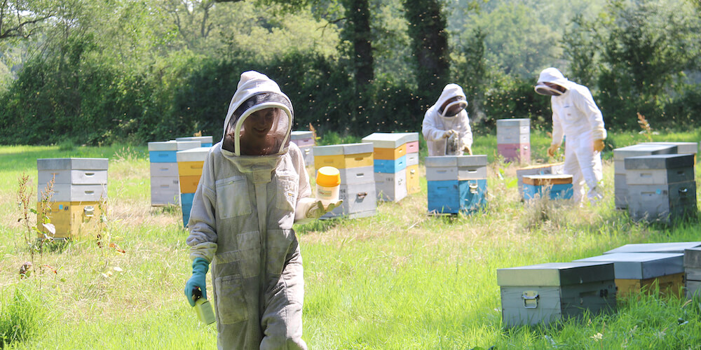 Varroa EasyCheck au rucher