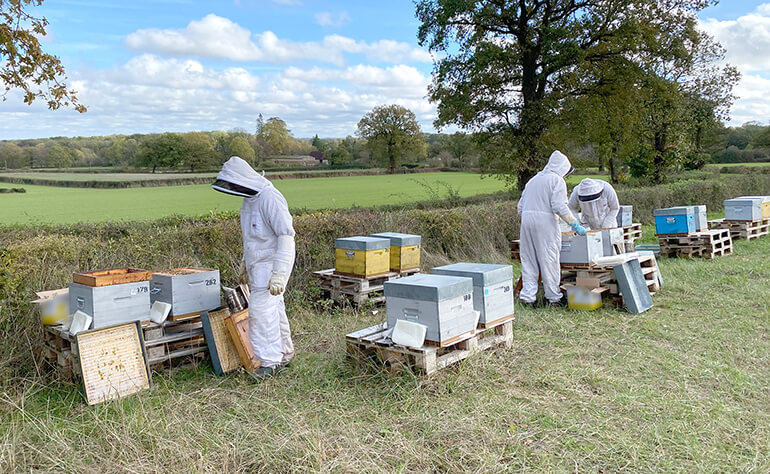 Un rucher d’essais dédié au développement de solutions pour une apiculture durable