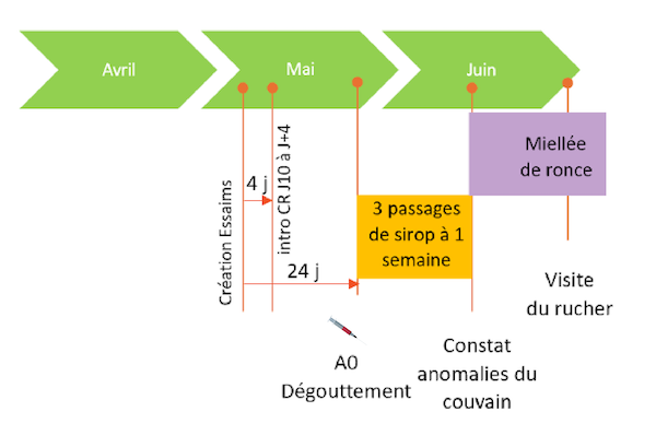 © ADA Pays de la Loire