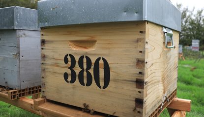 Véto-pharma apiary: 80 new colonies for Varroa Research