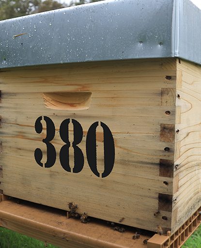 Véto-pharma apiary: 80 new colonies for Varroa Research