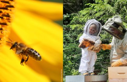 Edition 2024 du concours photo amateur « Valorisons l’abeille et l’apiculture » Véto-pharma