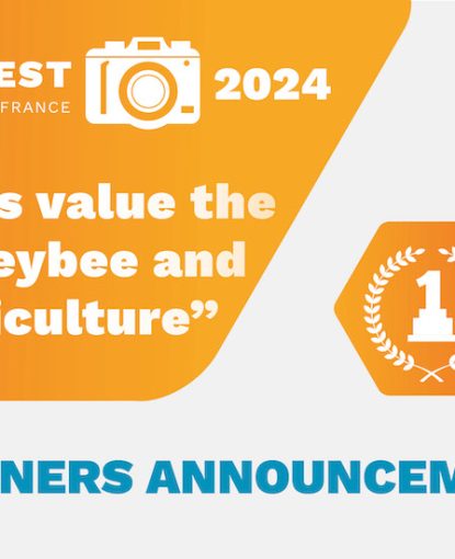 Results of the 2024 “Let’s value the honey bee and Beekeeping” Photo Contest