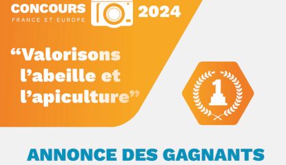 résultat concours photo 2024